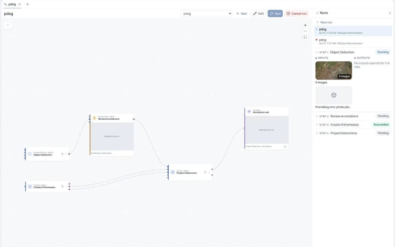 A BisQue workflow that runs object detection, human review and an orthomosaic, with its run status.
