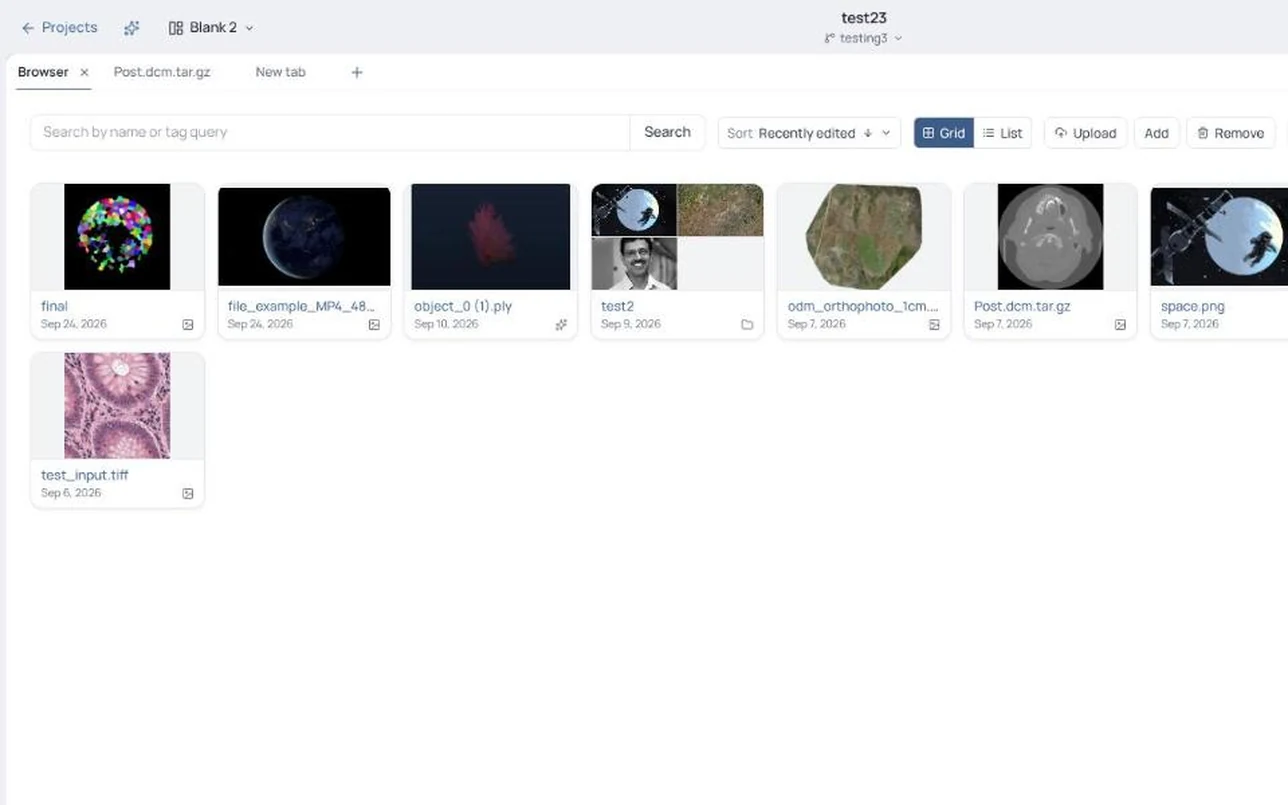 The BisQue resource browser showing a project with images, a video, a 3D model, DICOM scans and a dataset.